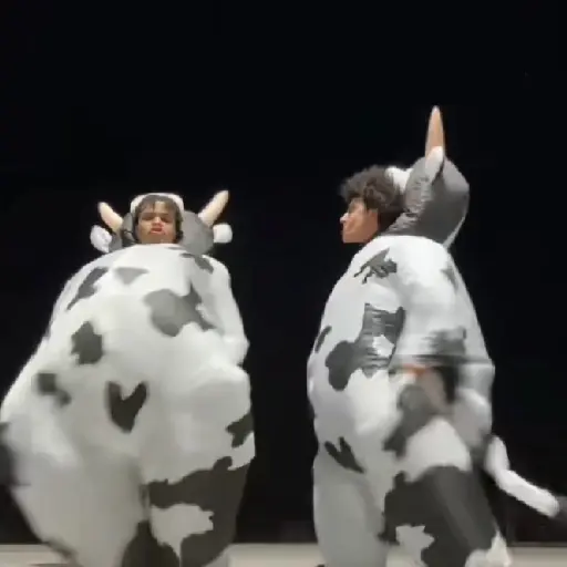 vaca bailando 😎 preview