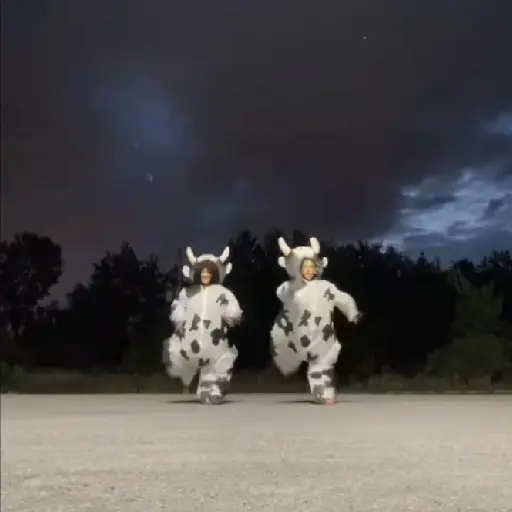 vaca bailando 😎