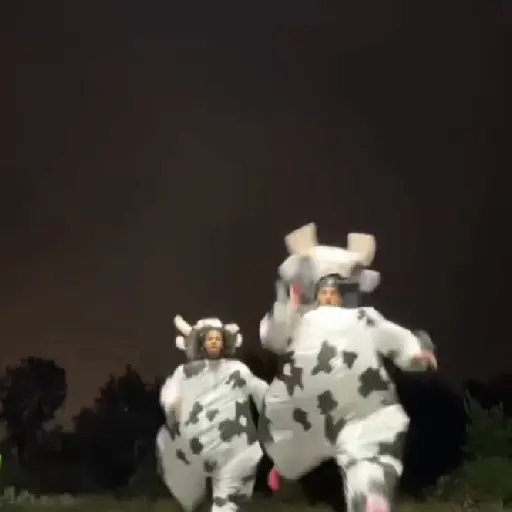 vaca bailando 😎