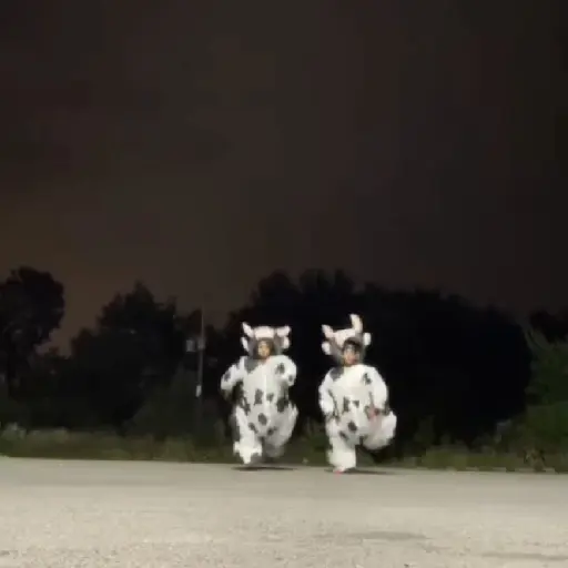 vaca bailando 😎