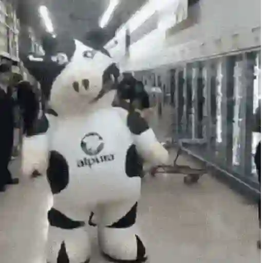 vaca bailando 😎