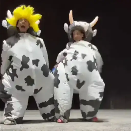 vaca bailando 😎