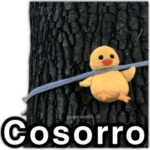 📮MEMES para ti 18📩
