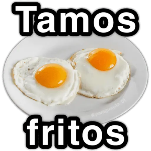 📮MEMES para ti 18📩