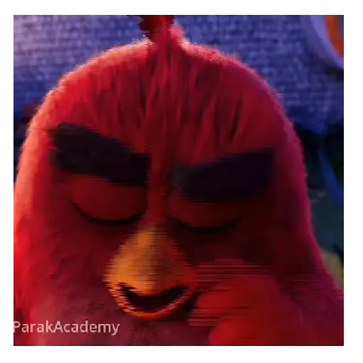 Meme Angry birds 💢😅