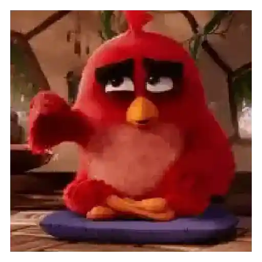 Meme Angry birds 💢😅