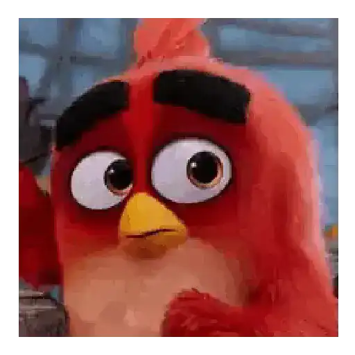 Meme Angry birds 💢😅