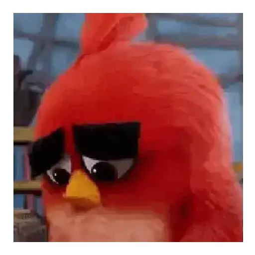 Meme Angry birds 💢😅 preview