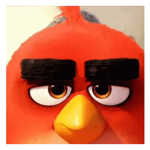 Meme Angry birds 💢😅 preview