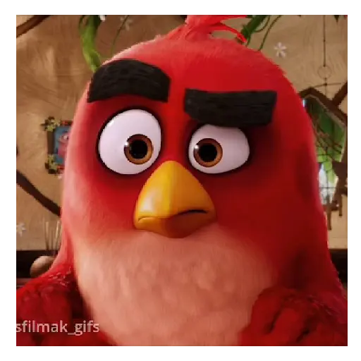 Meme Angry birds 💢😅 preview