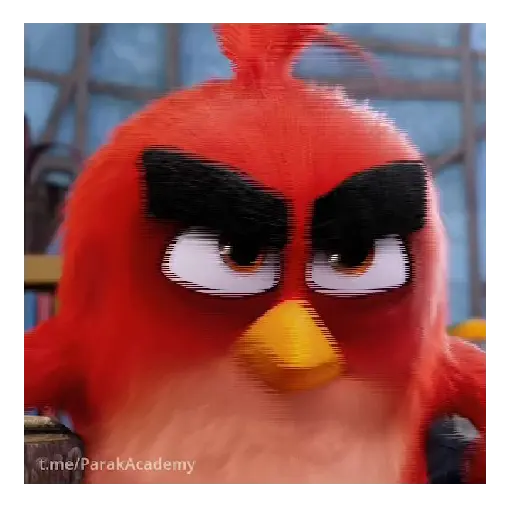 Meme Angry birds 💢😅