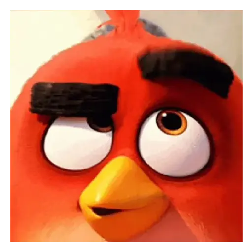 Meme Angry birds 💢😅