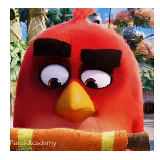 Meme Angry birds 💢😅