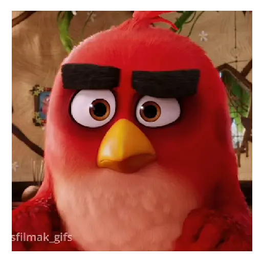 Meme Angry birds 💢😅