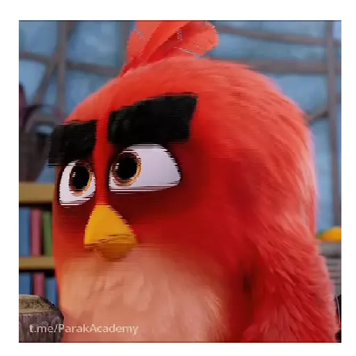 Meme Angry birds 💢😅