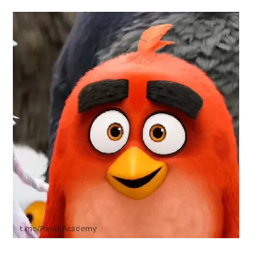 Meme Angry birds 💢😅
