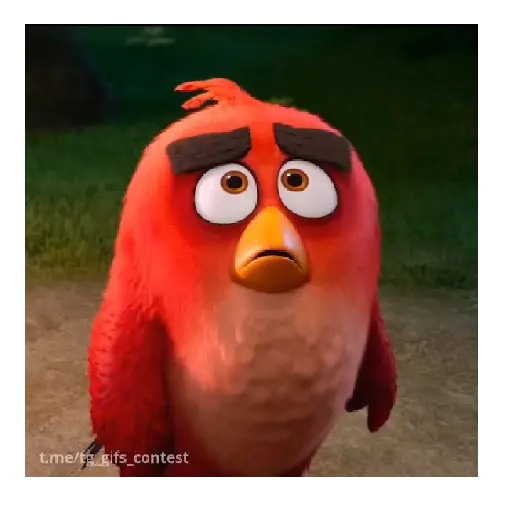 Meme Angry birds 💢😅