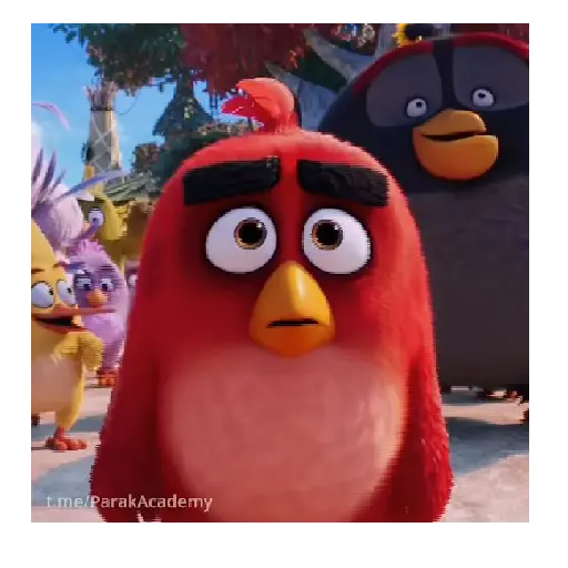 Meme Angry birds 💢😅