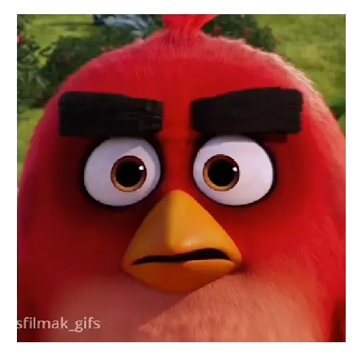 Meme Angry birds 💢😅