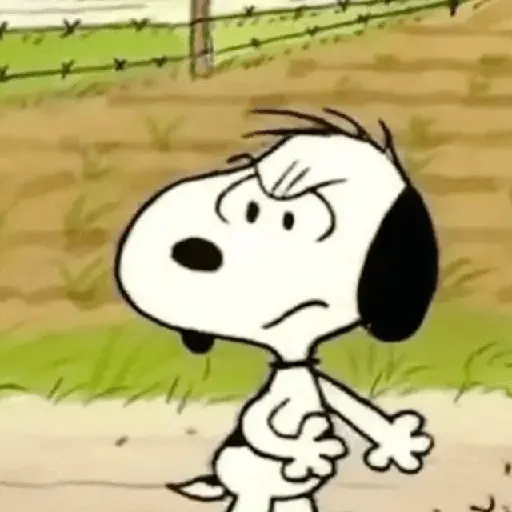 😠🫐 SNOOPY Enojado 🫐😠