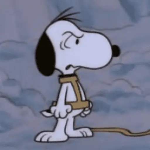 😠🫐 SNOOPY Enojado 🫐😠