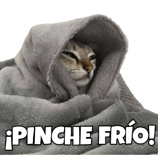 Frío 🥶❄️🧊