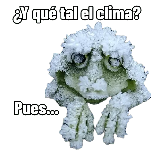 Frío 🥶❄️🧊
