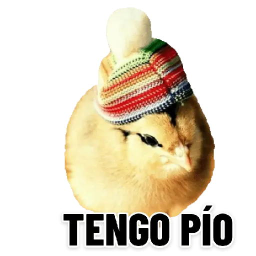 Frío 🥶❄️🧊