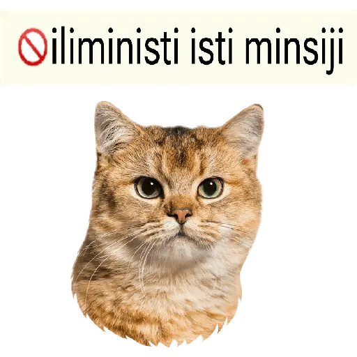 iliministi isti minsiji 😎