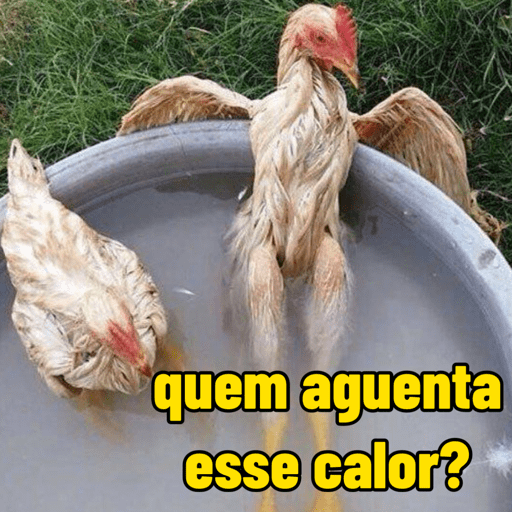 calor do djabo 🥵🌞 preview