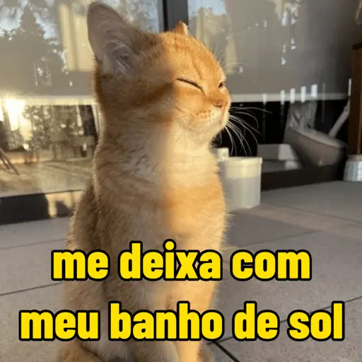 calor do djabo 🥵🌞