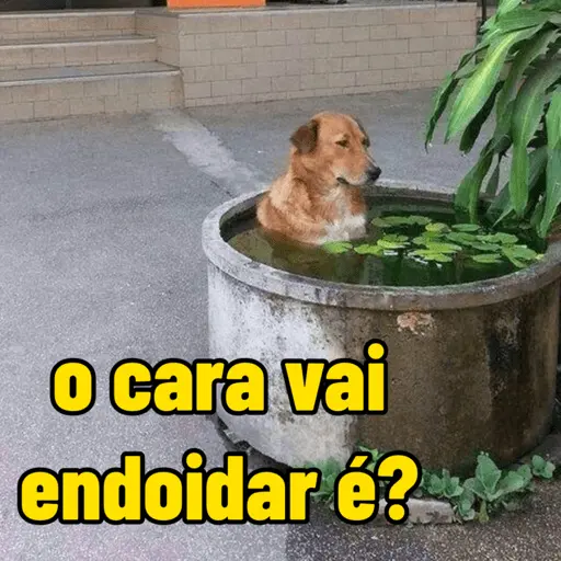 calor do djabo 🥵🌞