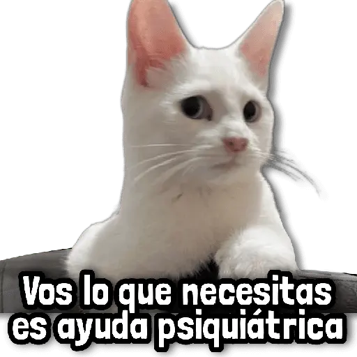 Stickers sin Filtro #➎ 🚨