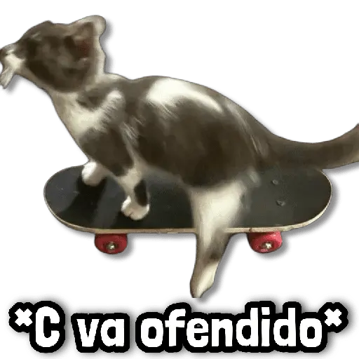 Stickers sin Filtro #➎ 🚨