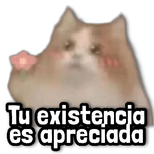 Stickers sin Filtro #➎ 🚨