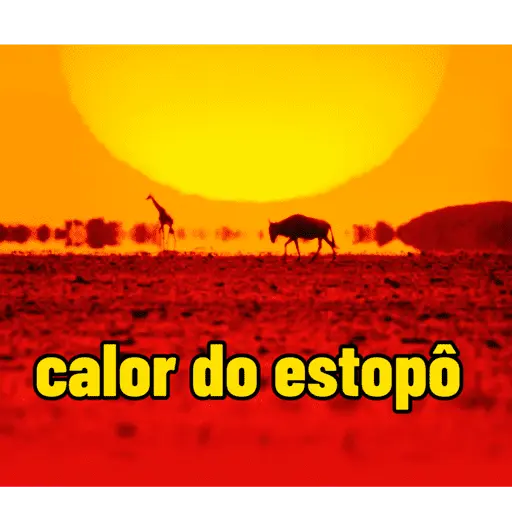 Calor 🔥