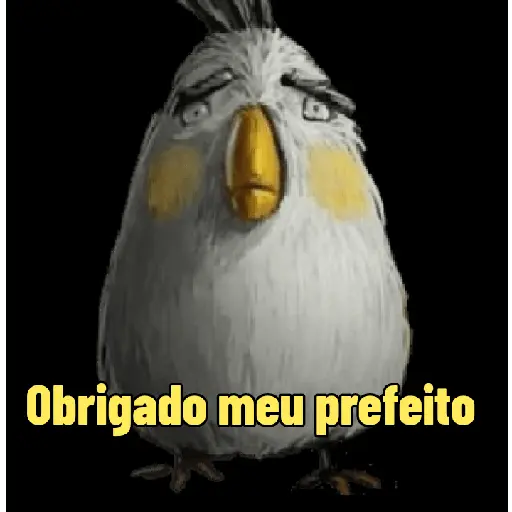 Memes Angry birds