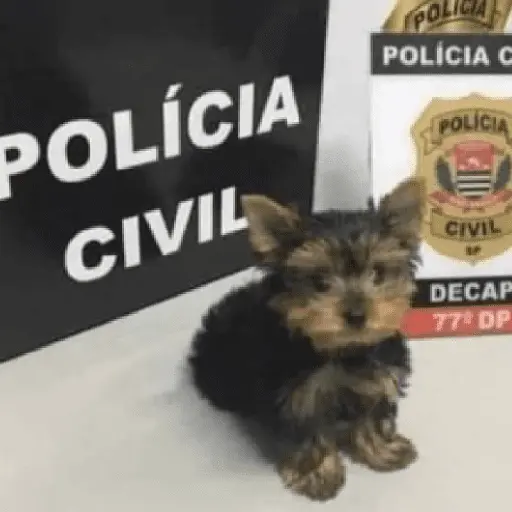 Memes. | @ocenferios  𝐇aki.