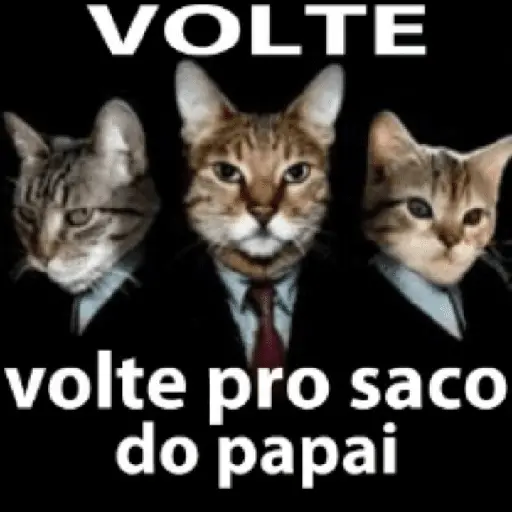 Memes. | @ocenferios  𝐇aki.
