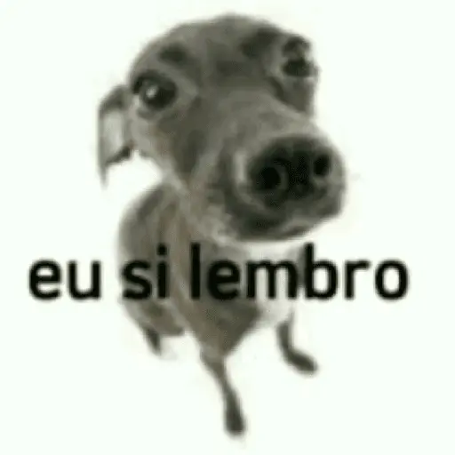 Memes. | @ocenferios  𝐇aki.