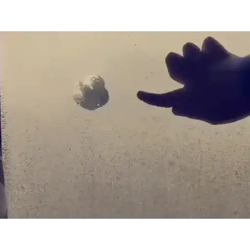 Meme Animated pt. 2
