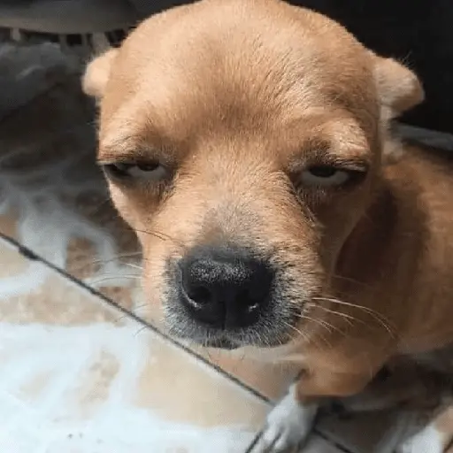 🤪 Reactions 24 😲