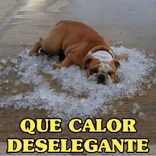 AI QUE CALOR!!!🔥🥵