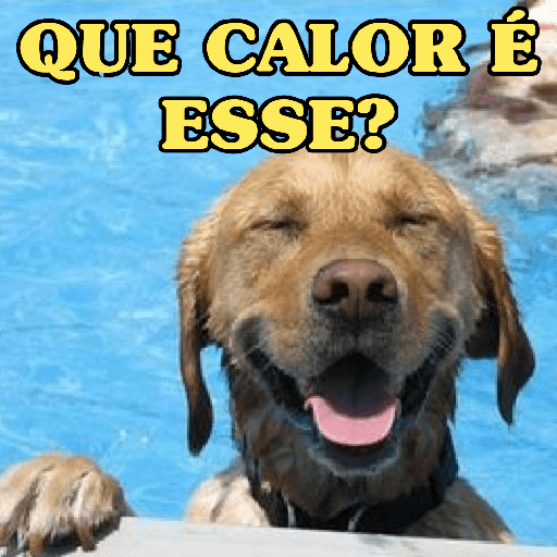 AI QUE CALOR!!!🔥🥵 preview