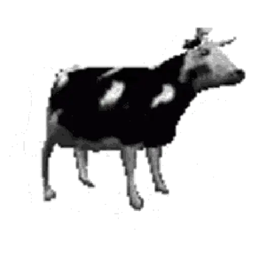 vaca bailando 👑 preview