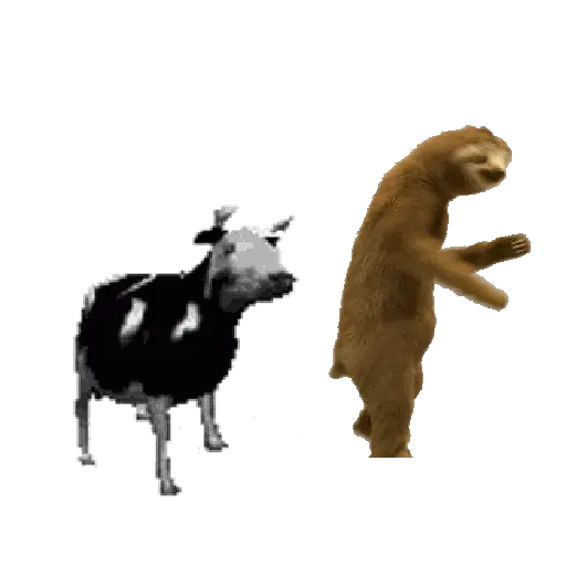 vaca bailando 👑