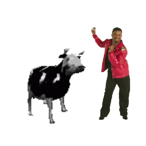 vaca bailando 👑
