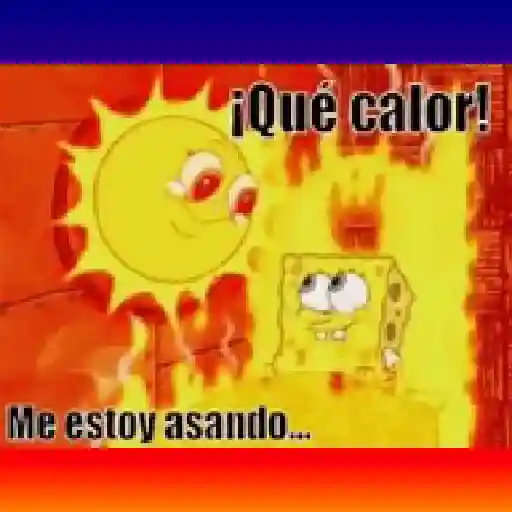 🔥 ¡Que calor! 🥵 