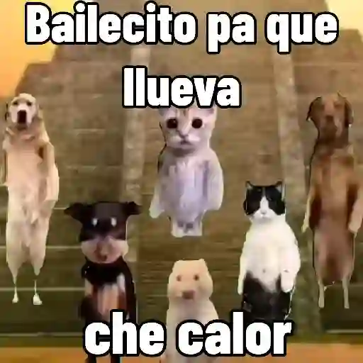 🔥 ¡Que calor! 🥵 