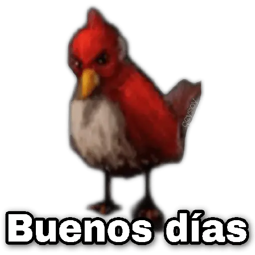 Memes Angry birds 🕳️🐦😶‍🌫️